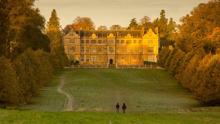 Visitors walking through the parkland with their dog in autumn at Montacute, Somerset. A large area of grass surrounded by trees stretches away towards the house in the background glowing in the autumn sun.